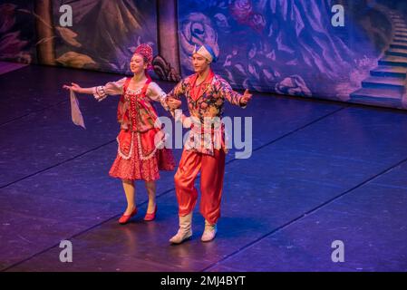 Cangas, Pontevedra, Spagna. 26 gennaio 2023. Danza russa: Olga Marcova y Andrei Saharnean. The Nutcracker performance by the International Ballet Company Credit: Xan Gasalla/Alamy Live News Foto Stock