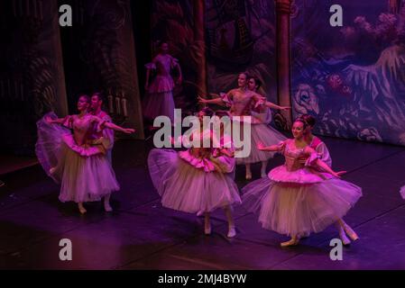 Cangas, Pontevedra, Spagna. 26 gennaio 2023. The Nutcracker performance by the International Ballet Company Credit: Xan Gasalla/Alamy Live News Foto Stock