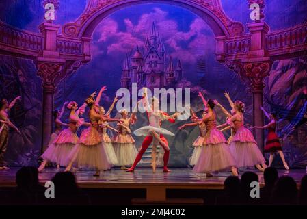 Cangas, Pontevedra, Spagna. 26 gennaio 2023. olga Marcova e Andrei Saharnean con il resto dei ballerini della compagnia durante la mostra. The Nutcracker performance by the International Ballet Company Credit: Xan Gasalla/Alamy Live News Foto Stock