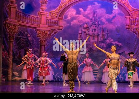 Cangas, Pontevedra, Spagna. 26 gennaio 2023. Danza orientale: Alice Tirone e Denis Donica. salutare il pubblico. The Nutcracker performance by the International Ballet Company Credit: Xan Gasalla/Alamy Live News Foto Stock