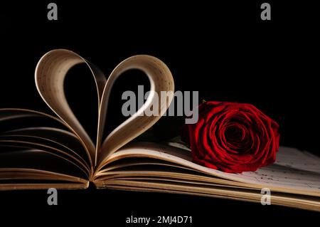 Pagine di un libro di musica, a forma di cuore, rosa arbusto rosso (rosa) Foto Stock