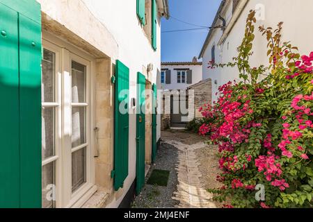Case tipiche in un vicolo di Ars-en-Re, Ile de Re, Nouvelle-Aquitaine, Aquitania, Francia Foto Stock