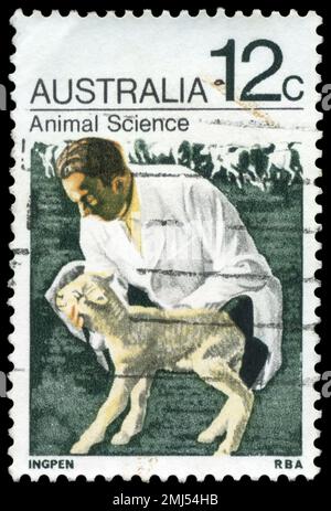 AUSTRALIA - CIRCA 1971: Un francobollo stampato in AUSTRALIA mostra l'uomo e l'agnello, Scienza animale, circa 1971 Foto Stock