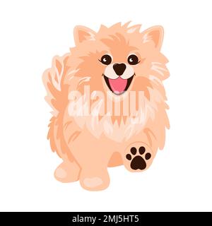 Cane da passeggio. spitz pomeranian carino Illustrazione Vettoriale