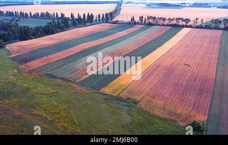 Campi agricoli con raccolti vari. Paesaggio estivo. Vista da un drone. Foto Stock