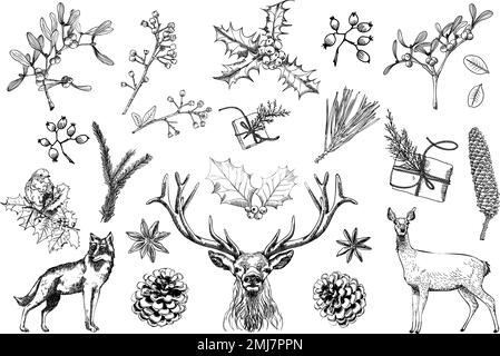 Collezione classica retro Christmas: Vari animali e prodotti botanici. Elementi disegnati a mano splendidamente eleganti per creare il vostro inverno e la vostra vacanza Illustrazione Vettoriale