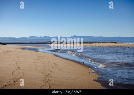 L'alto fiume Salinas che scorre nell'Oceano Pacifico. Foto Stock