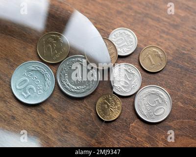 La moneta polacca, gli zlotys, sotto la lente d'ingrandimento sul tavolo di legno, fuoco selettivo. Valute europee locali Foto Stock