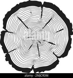 Struttura di anelli di legno. La sega a tazza taglia le linee nere Illustrazione Vettoriale