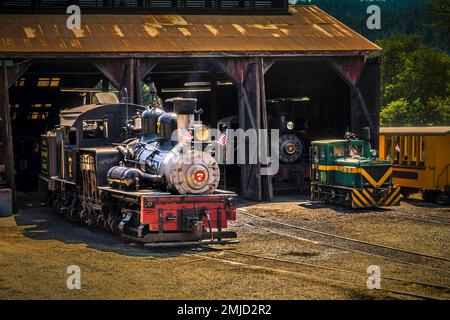 Treno Barn Roaring Camp Foto Stock