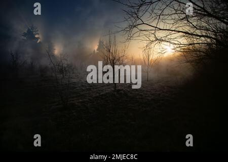 Posto perso. Abbandonati, foresta su fuoco, nebbia sul campo, fumo in background. Foto di alta qualità Foto Stock