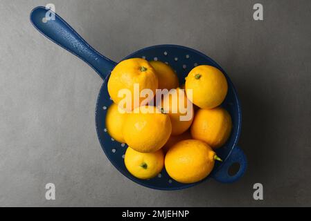 Limoni freschi raccolti in un colander di plastica blu su una mattonella grigia di ardesia con spazio di copia. Foto Stock