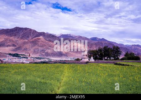 Paesaggio con montagne e nuvole. albero, fiori, agricoltura, campo, paese, ambiente, campagna, prato, sfondo, panorama, nuvoloso, fiume Foto Stock