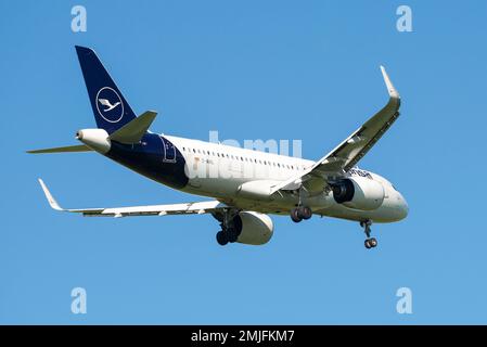 SAN PIETROBURGO, RUSSIA - 29 MAGGIO 2021: Airbus A320neo (D-AILN) delle compagnie aeree Lufthansa arriva per l'atterraggio in un cielo blu senza nuvole Foto Stock