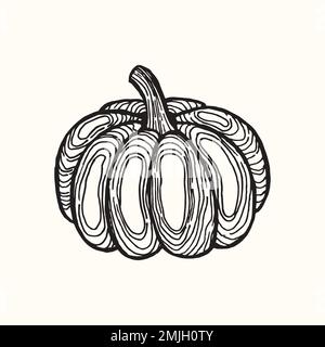 e-disegnata immagine stilizzata di zucca. Immagine grafica in bianco e nero isolata su sfondo bianco. Illustrazione vettoriale. Illustrazione Vettoriale