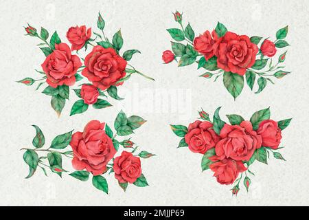 Set di fiori rossi di rosa disegnati a mano Illustrazione Vettoriale