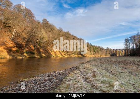 Leaderfoot, River Tweed, Scottish Borders, UK. 27th Jan, 2023. Regno Unito, meteo. Vista sul fiume Tweed a Leaderfoot, confine scozzese. Il Viadotto Leadfoot si estende lungo il fiume, la ferrovia è ora chiusa. Noto anche come Viadotto Drygrange. E' un popolare battimento per la pesca del salmone, la stagione di pesca del salmone Tweed apre il 1st Febbraio 2023. Credit: phil wilkinson/Alamy Live News Foto Stock