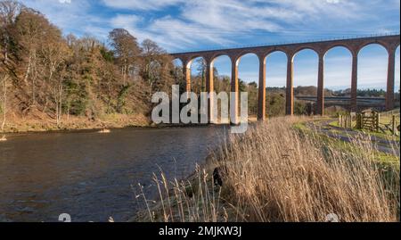 Leaderfoot, River Tweed, Scottish Borders, UK. 27th Jan, 2023. Regno Unito, meteo. Vista sul fiume Tweed a Leaderfoot, confine scozzese. Il Viadotto Leadfoot si estende lungo il fiume, la ferrovia è ora chiusa. Noto anche come Viadotto Drygrange. E' un popolare battimento per la pesca del salmone, la stagione di pesca del salmone Tweed apre il 1st Febbraio 2023. Credit: phil wilkinson/Alamy Live News Foto Stock