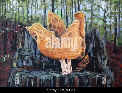 Gyromitra infula, comunemente noto come il falso morello agganciato o la sella di pinna, è un fungo non commestibile. Si trova nell'emisfero settentrionale, di solito Foto Stock