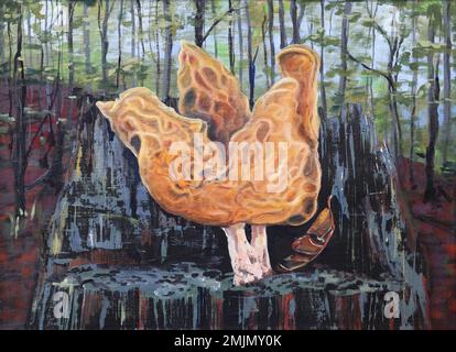 Gyromitra infula, comunemente noto come il falso morello agganciato o la sella di pinna, è un fungo non commestibile. Si trova nell'emisfero settentrionale, di solito Foto Stock