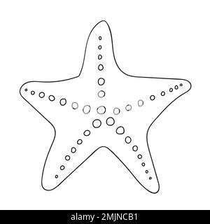 Illustrazione di stella marina disegnata a mano carina Illustrazione Vettoriale