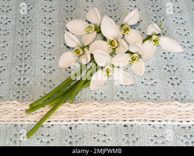 Closeup di fiori di primavera mazzo di fiori di neve bella su tela ciano con pizzo Foto Stock