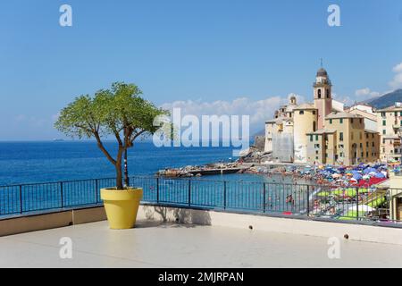 La Dolce vita in Italia, Genova Foto Stock