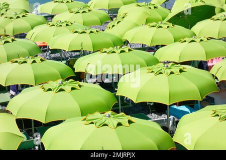 La Dolce vita in Italia, Genova Foto Stock