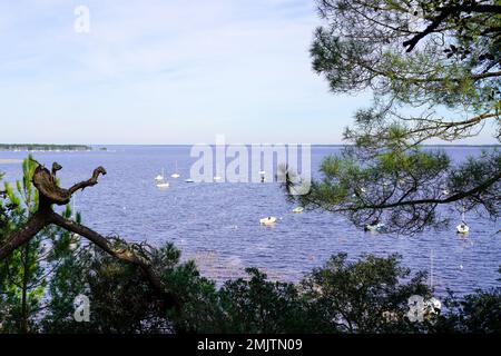 Visualizza barca lago in dune spiaggia di sabbia Hourtin villaggio in gironde Francia Foto Stock