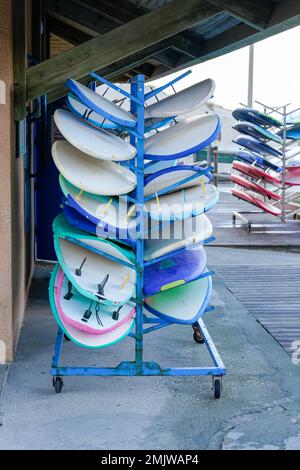 Set di diverse tavole da surf a noleggio sulla spiaggia surfshop Foto Stock