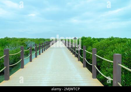 Incantevole bellezza dell'Isola Viola ad al Khor, Qatar Foto Stock