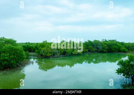Incantevole bellezza dell'Isola Viola ad al Khor, Qatar Foto Stock