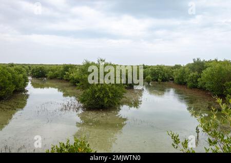 Incantevole bellezza dell'Isola Viola ad al Khor, Qatar Foto Stock