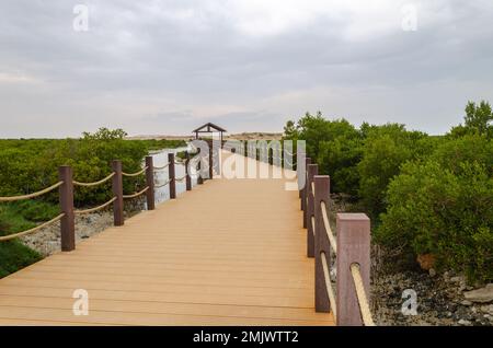 Incantevole bellezza dell'Isola Viola ad al Khor, Qatar Foto Stock