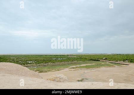 Incantevole bellezza dell'Isola Viola ad al Khor, Qatar Foto Stock