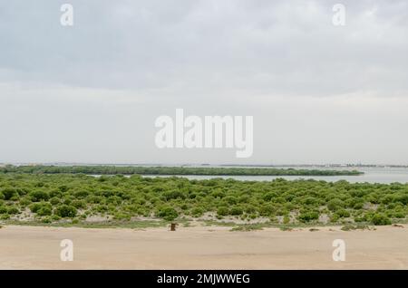 Incantevole bellezza dell'Isola Viola ad al Khor, Qatar Foto Stock