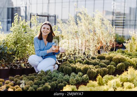 Una giovane donna si siede accanto ad un letto di fiori sulla strada vicino ad un negozio di piante e sceglie una pentola con un piccolo albero. Una donna sceglie le piante per abbellire lo yar Foto Stock