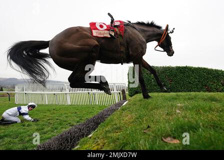 Jockey Shane Fenelon dopo essere caduta da Foxy Jacks durante il Festival Trials Day all'ippodromo di Cheltenham. Data immagine: Sabato 28 gennaio 2023. Foto Stock