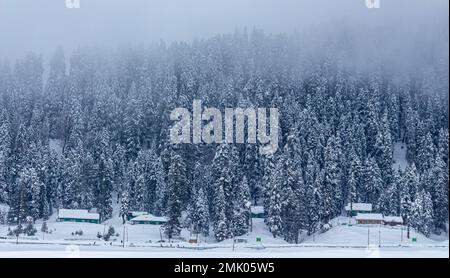 Bella vista di Gulmarg durante la stagione invernale circondato da montagne ghiacciate Himalaya ghiaccio e verde abete e pino nella foresta di Gulmarg. Foto Stock