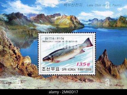 Francobollo nordcoreano del 2008 con una trota Chonji (Salvelinus malma) con il lago Chon sul monte Paektu sullo sfondo. Foto Stock