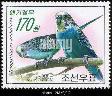 2008 francobollo della Corea del Nord con un paio di budgerigi (Melopsittacus undulatus) appollaiati su un ramo. Foto Stock
