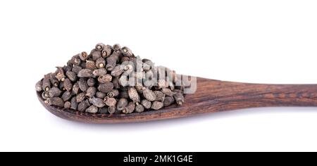 Semi di borragine in cucchiaio di legno, isolati su fondo bianco. Borago officinalis seme Foto Stock