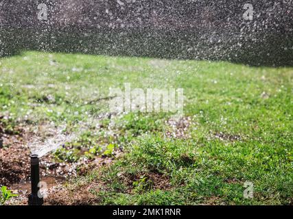 Giardino automatica sprinkler prato in azione di erba di irrigazione Foto Stock