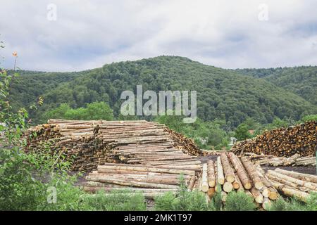 Deforestazione di massa in Ucraina Carpazi Foto Stock