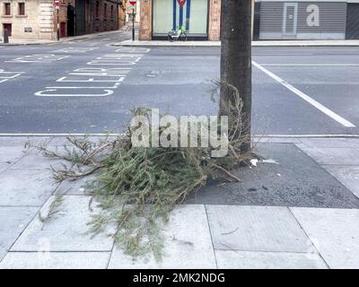 Gli alberi di Natale usati intorno al centro di Londra vengono scartati sulle strade e nei punti di raccolta. Immagine scattata il 2nd Gen 2022. © Belinda Jiao jiao.bilin@ Foto Stock