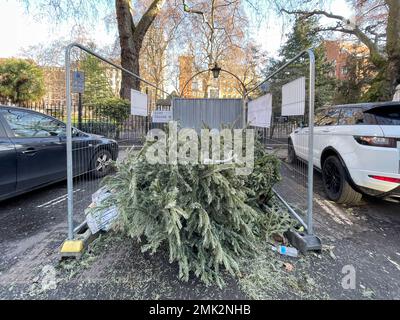 Gli alberi di Natale usati intorno al centro di Londra vengono scartati sulle strade e nei punti di raccolta. Immagine scattata il 2nd Gen 2022. © Belinda Jiao jiao.bilin@ Foto Stock