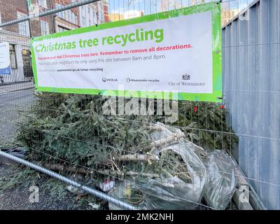 Gli alberi di Natale usati intorno al centro di Londra vengono scartati sulle strade e nei punti di raccolta. Immagine scattata il 2nd Gen 2022. © Belinda Jiao jiao.bilin@ Foto Stock