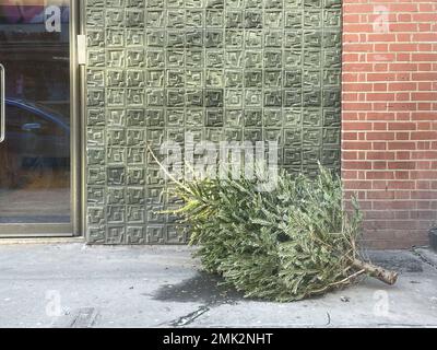 Gli alberi di Natale usati intorno al centro di Londra vengono scartati sulle strade e nei punti di raccolta. Immagine scattata il 2nd Gen 2022. © Belinda Jiao jiao.bilin@ Foto Stock