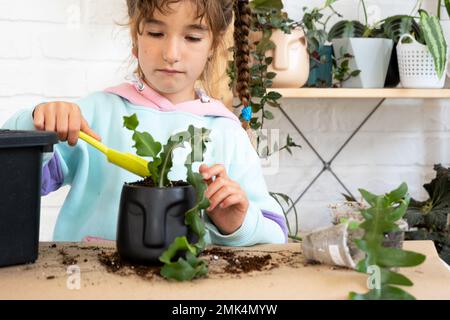 La ragazza si prende cura felicemente delle piante domestiche, le trasforma in un nuovo terreno e vaso, abbraccia la succulente sanivieria, epiphyllum. Hobby per un ch Foto Stock