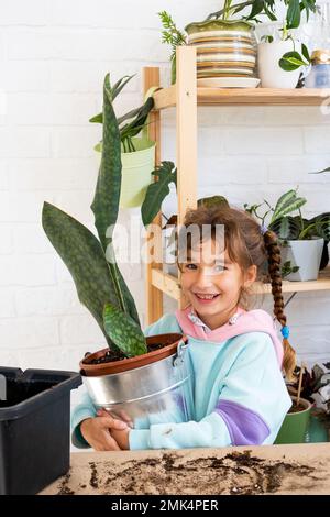 La ragazza si prende cura felicemente delle piante domestiche, le trasforma in un nuovo terreno e vaso, abbraccia la succulente sanivieria, epiphyllum. Hobby per un ch Foto Stock